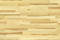 3-yasen-bishop