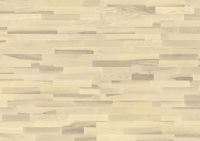 3_ash_cantry_arctic