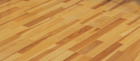 3_ash_country6