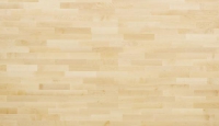 3_birch_natur