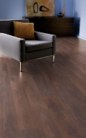 Ламинат Krono Original Кроно оригинал  8633 Дуб Строгий Floordreams Classic 1